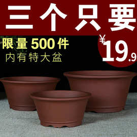 宜兴紫砂多肉盆景盆阳台小吊兰花盆简约绿萝绿植陶盆陶瓷