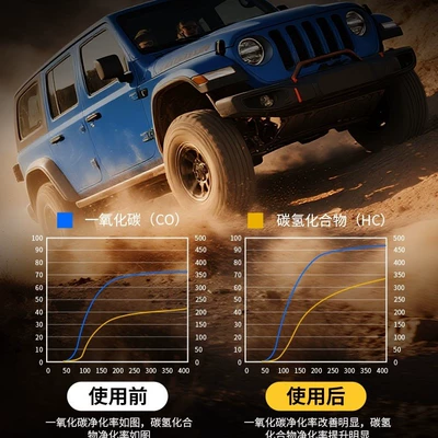 Motor gasoline additive – Catalytic Cleaner