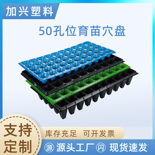 �S�����l50Ѩ����PѨ�P������Nֲ�����߲��������P���������бP