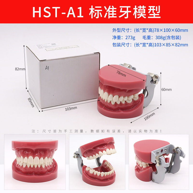 Modelo de ortodoncia dental semi-metal semibrackets Práctica de corrección de molde dental estándar Comunicación médico-paciente Modelo de enseñanza Modelo dental