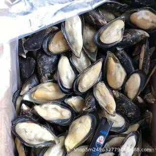 ���l����{��ؐ �ڿ�ؐ �뚤ؐ �Oؐ ���� ���ؐ