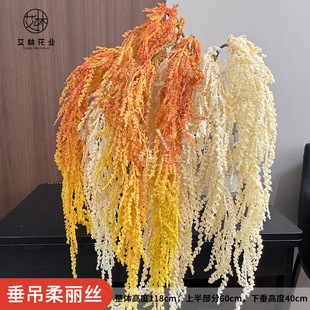 ���������z�����c�廨���T�����bGֲ�ڒ�