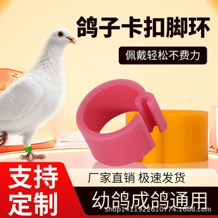 �����_�h�����R�e�h������h�_��ӛ̖�h���������ĸ�䌦�_�h�S��