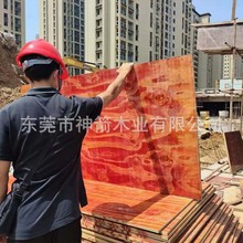 ������С�t���z�ϰ�ľ�����z�帲Ĥ��|ݸ�S��ֱ�����ذl؛