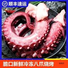 脆口鱿鱼须冷冻大章鱼须足八爪鱼烧烤火锅商用半成品海鲜水产批发