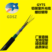 GYTS-24B1SֱN24оģwOز| ӽgʽzb|