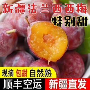 �½����m����÷��ʲС��÷�������r�ЋDˮ���������������S���\