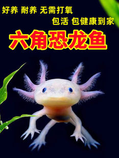 ���ǿ����~һ��һĸ�W�t������ˮ��ˮ�~�^�p�~���B����ϔ󢌙���~