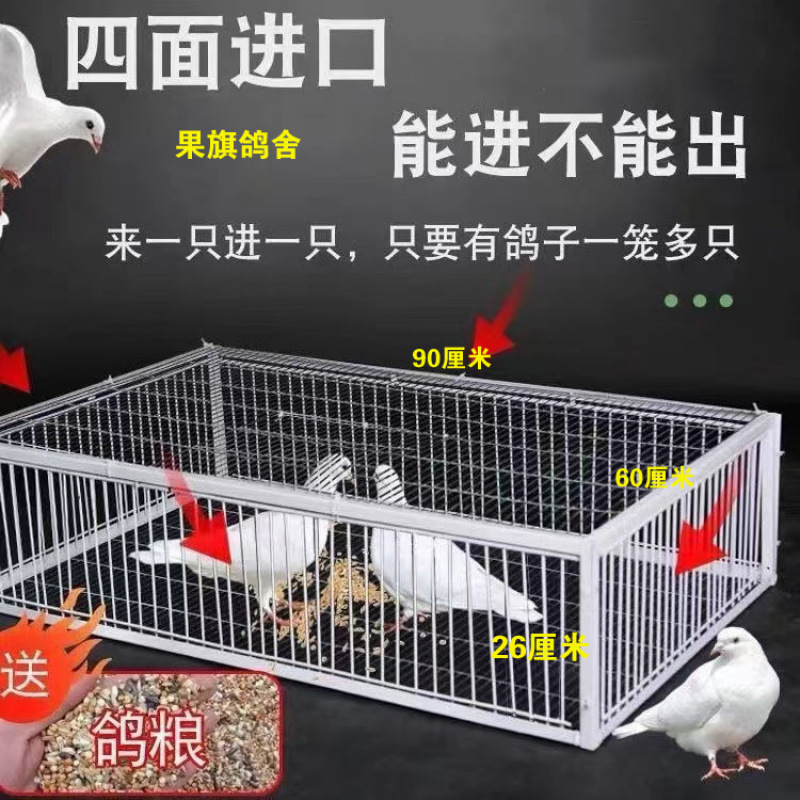 户外加密鸽子天落笼全自动防锈只进不出收鸽笼撞门笼鸽子回收|undefined