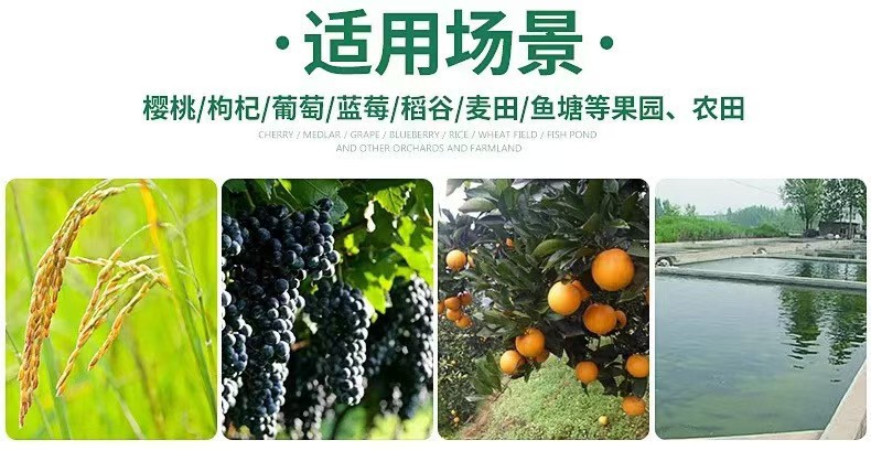 微信图片_20241113151446