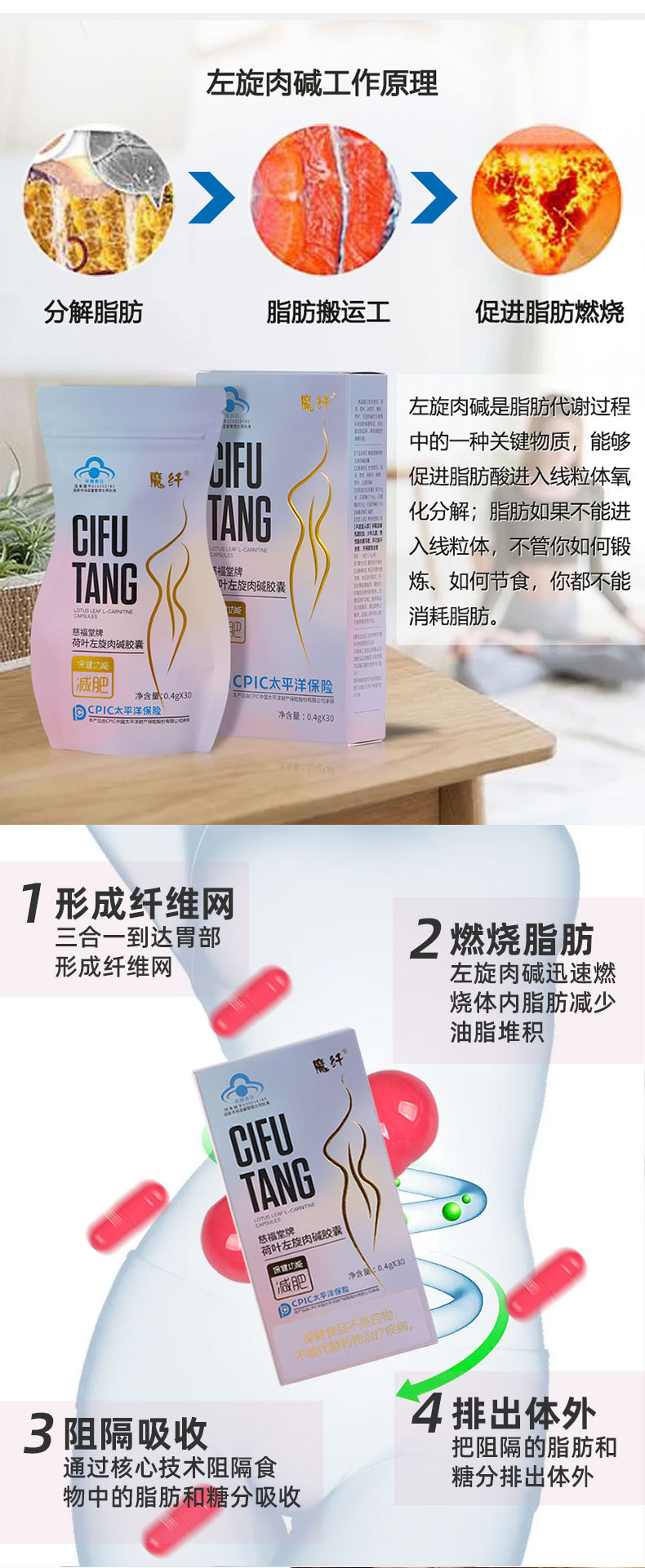 荷叶左旋肉碱胶囊_04