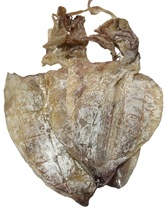 ���l���������~KTV�ư���˺���~��ˮ�a��؛ɢ�b���r����ҹ���[��