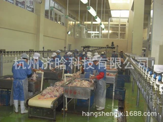 宰兔设备,杀肉兔设备,獭兔屠宰设备,兔子屠宰分割流水线设备