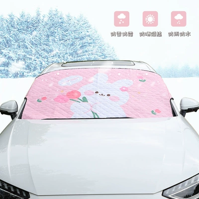 snow shield, Car snow shield