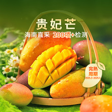 �|�����x�F��â�������r�Ꭷˮ�������r���â�����r��S/���|