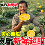 江苏东台特小凤黄心冰淇淋西瓜当季新鲜水果手撕应季超甜黄肉西瓜