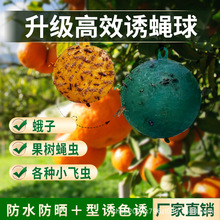 �Tω����ٴ�ω�T����Ϲ���ᘷ��T�x���T������ωճ�x��ʳω��