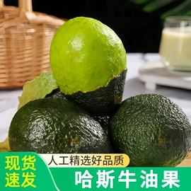 块茎类;其他水果;梨