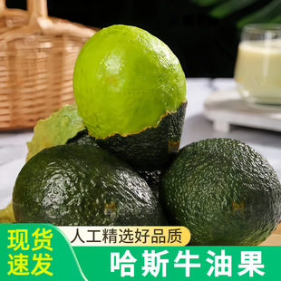��˹ţ�͹����rˮ������������ЋD��ʳһ���{������һ�����l