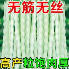 ײܿNļܿ߮a׶Ǽܶļ߲˷N