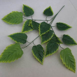 ���昁ľ�~�G�~�Ӽ٘佁��������}�G�Ҹ��~�������~�G�������~�G