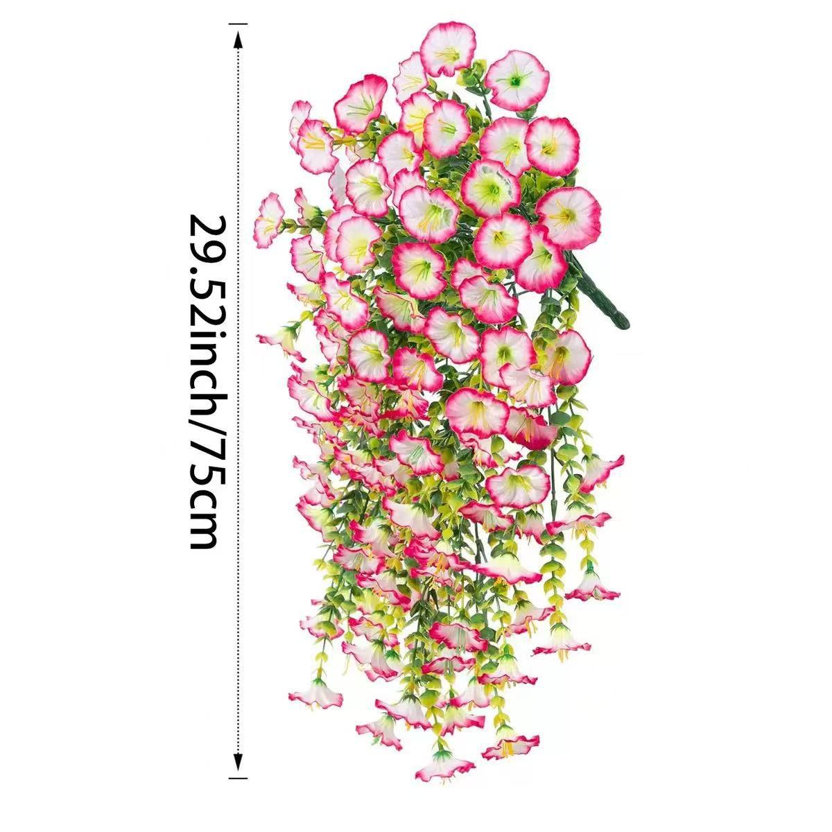 피튜니아-핑크와 화이트