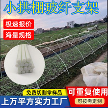 纤维棒温室蔬菜小拱棚玻璃纤维农用大棚支架秧苗种植防倒伏支撑杆