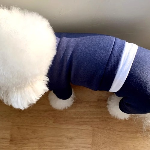 Cross-border Japanese and Korean puppy clothes casual and versatile simple four-legged sweatshirt Teddy small dog cat pet clothes