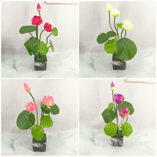 ���滨Сɏ���ɻ�˯ɏ���ٻ����üҾӾƵ��~�ה[�������b����l