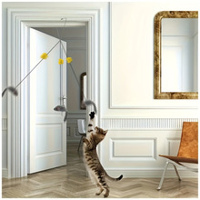 B 69130 door clip mouse cat teaser ������������è��