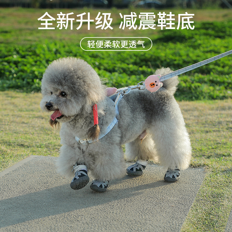 主图1.jpg