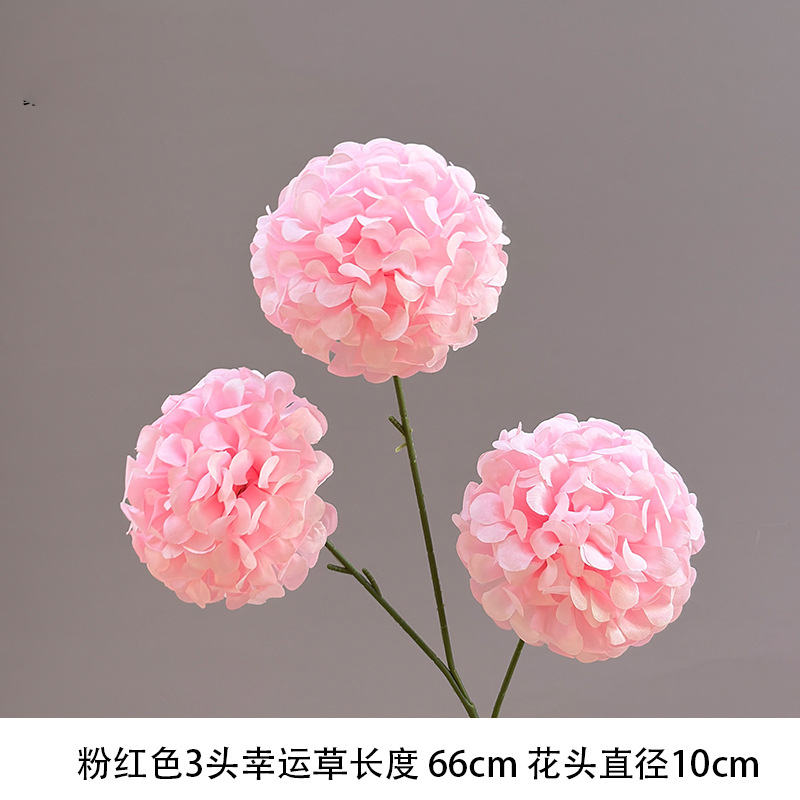 Lucky ball "new arrival recommendation"