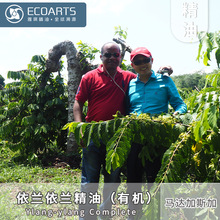 ���m���m���� �R�_��˹���M�ھ���ԭ�ό������S���l�����η�����