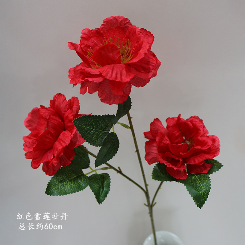 붉은 눈 연꽃 모란의 가지