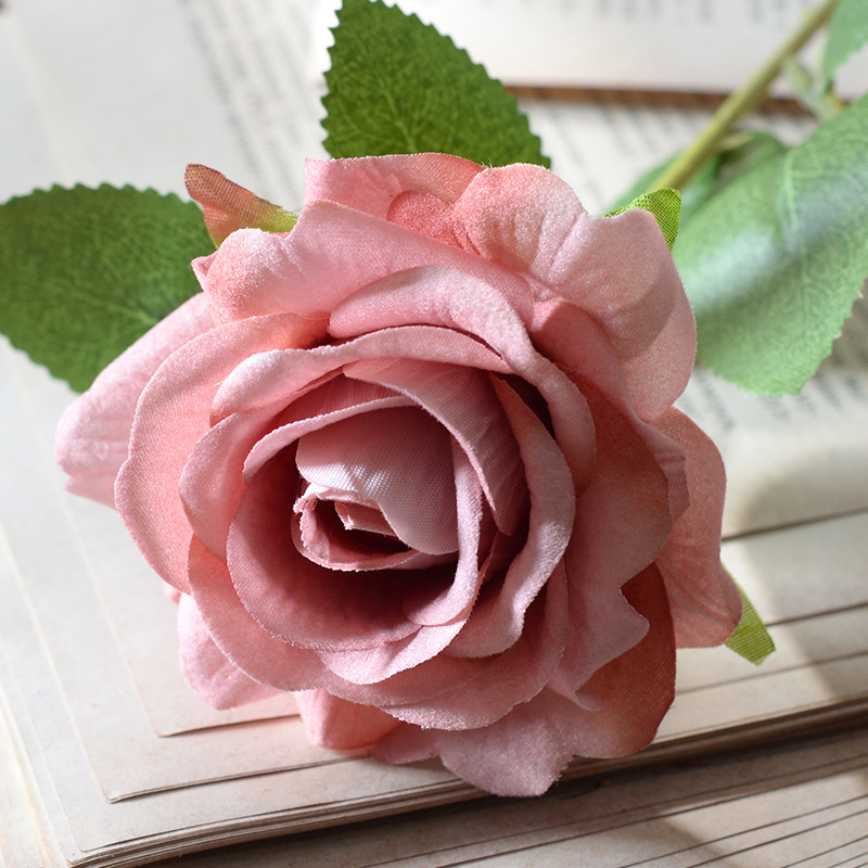 Aisha rose bean paste