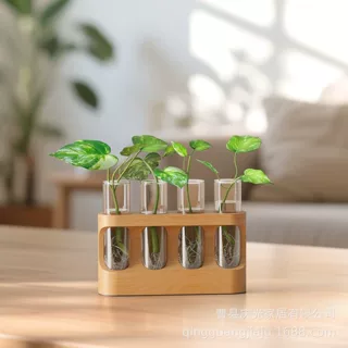 植物繁殖站配有木架 玻璃生态瓶 园艺爱好者礼物 创意摆件