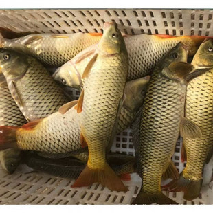 ʮ�����S����ԭ���B�����ıǿ׳������~���r���~�F����l��ˮ�~