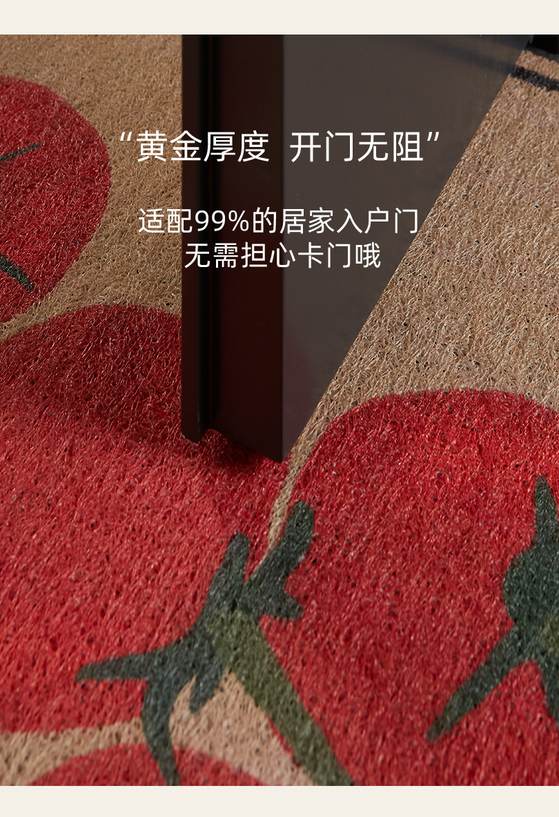Entrance door mat with a light luxury and high-end feel, vintage style, dirt-resistant, non-slip, washable PVC loop mat for the foyer entrance