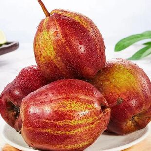 2025��Fժ�ʺ������� �������rˮ���tƤ���ִ����� �����������l