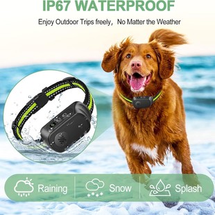 New PB20 automatic barking stop anti-misjudgment barking stop collar low power consumption dog stop pet dog trainer manufacturers