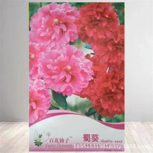 lʰNļN̨҃ԻܷNӼͥNJ޹²ݵؔ