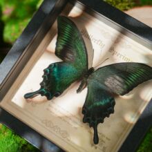 ��G��������˱�ľ�|߅��DIY�b��͹����[̨�Ҿ��Ʒ�ͶYdiy