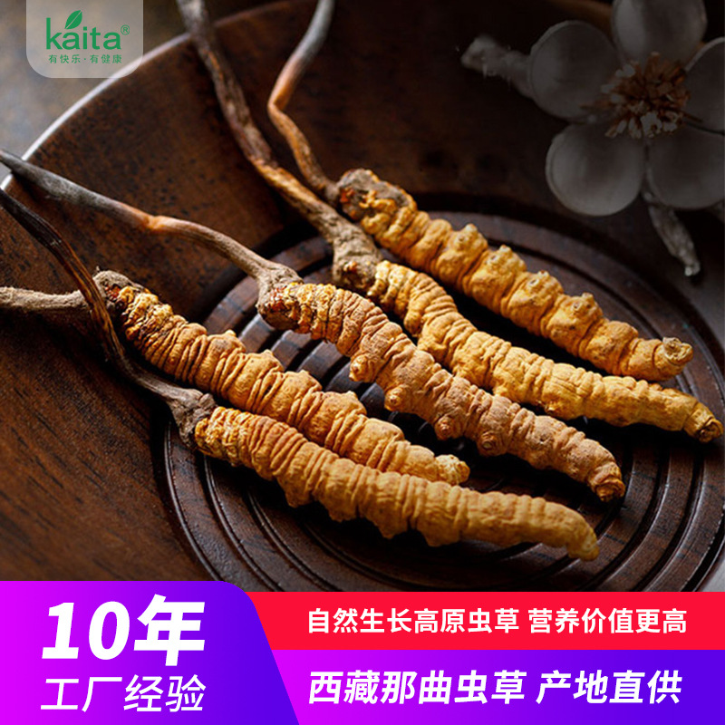 Cordyceps Of large number wholesale On behalf of Tibet Hand Source of goods Cordyceps Nagqu Cordyceps Gift box packaging