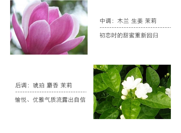 Xiaocheng Yixiang True Love Miracle Women's Perfume, Long-lasting Light Fragrance, Douyin Bestseller, Student Vietnamese Perfume Wholesale 50ML undefined