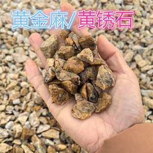 �S��ֱ�l�S�Pʯ�[ʯ �S����ʯ�� �Sʯ���S�Pʯ�[ʯͥԺ�쾰����