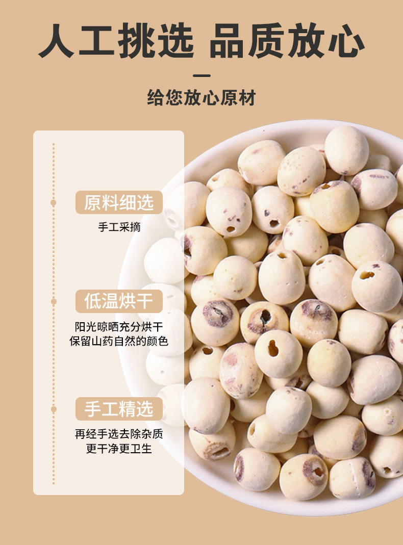 Lotus Seed (Nelumbo nucifera) — Hunan White Lotus Seeds, Core-Removed, Sulfur-Free, 500g in use