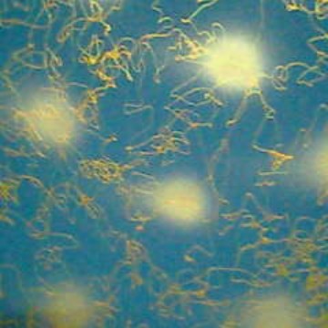 批发艺术幻彩漆闪光云丝漆液体壁纸漆金属闪光绸缎幻金幻银滚花漆