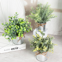 ����Gֲ�[���R���Fˇ�Ҿ��҃Ȕ[�O�b�Ʒ����Gֲ�FƤͰ����