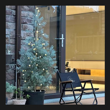 �҃Ȕ[�žGֲ���~�ɰ��{ɫ�����{�����������Ͱ�ͥԺ�쾰�e��ֲ��