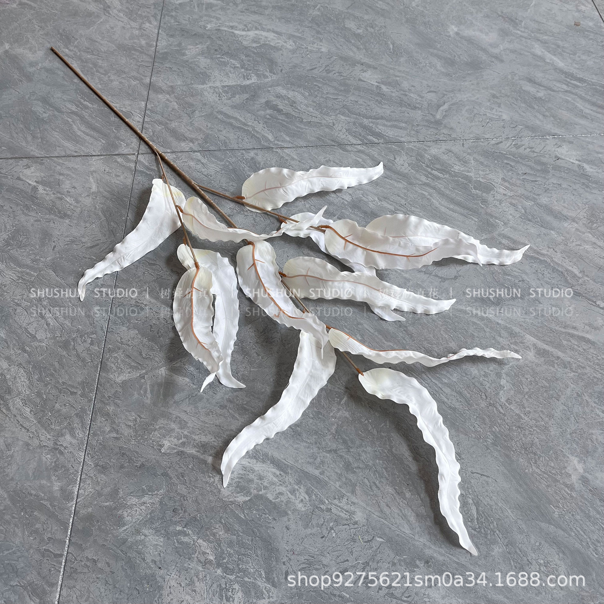 Hoja de algas-blanco